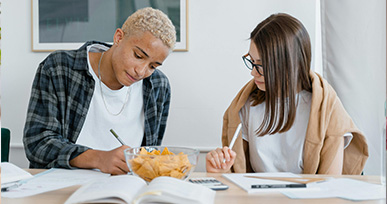 Assessment Help