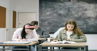 Assessment Help