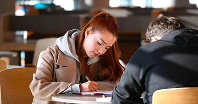 Assignment help